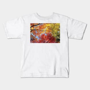 Low Angle View Of Autumn Trees Kids T-Shirt